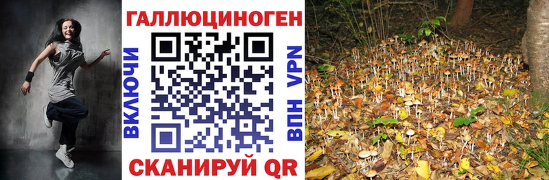 кракен зеркало  дарнет шоп  Иваново  Псилоцибиновые грибы MAGIC MUSHROOMS 
